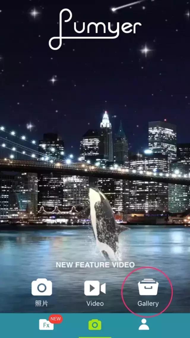 铲屎官拍同款,铲屎官的建议