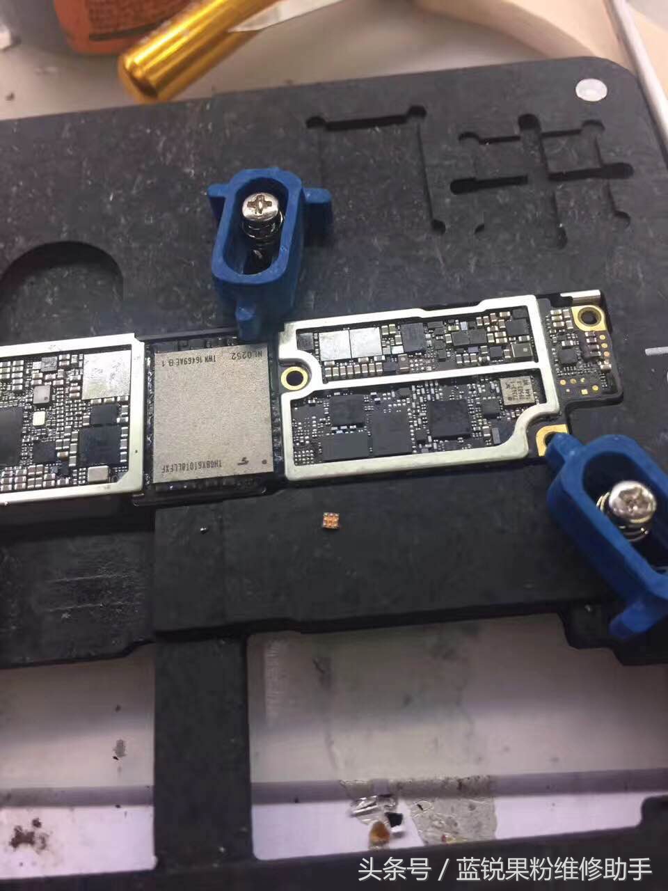 iphone7plus进水屏幕会干嘛,iphone7plus进水坏了怎么办