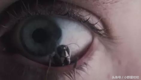 恐怖片惊悚片段合集,恐怖片死亡萝莉