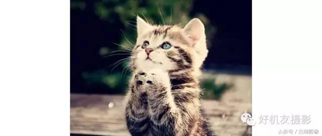 怎么调出高级灰色调,高级灰怎么调色好看视频剪映