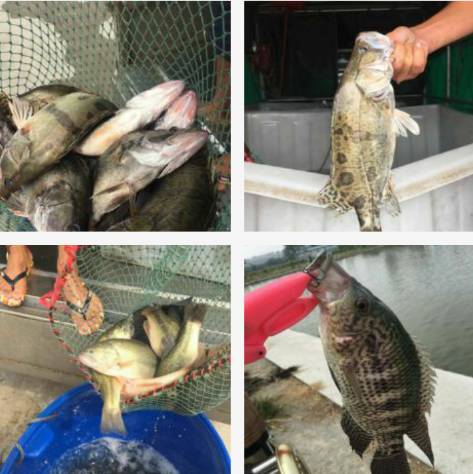 第一次野钓爆护是什么感觉,野钓不可缺少的10大爆护因素