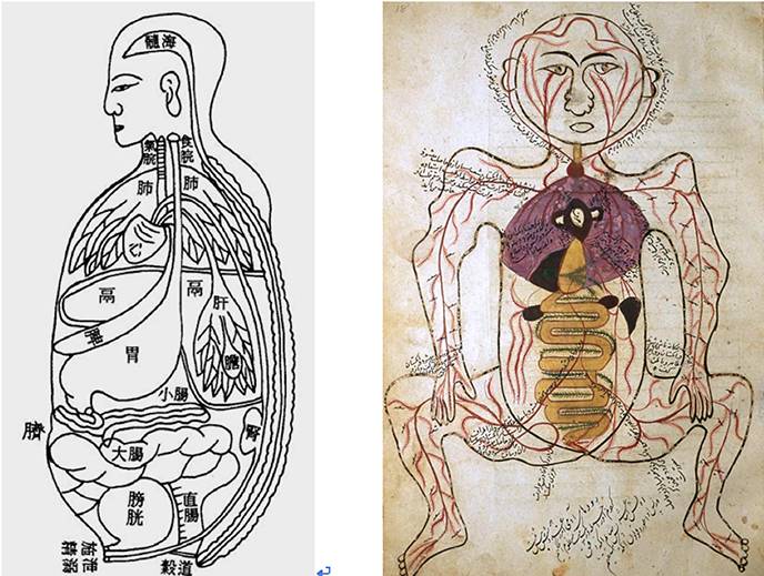 古今中外绘画欣赏,解剖全国绘画优秀作品