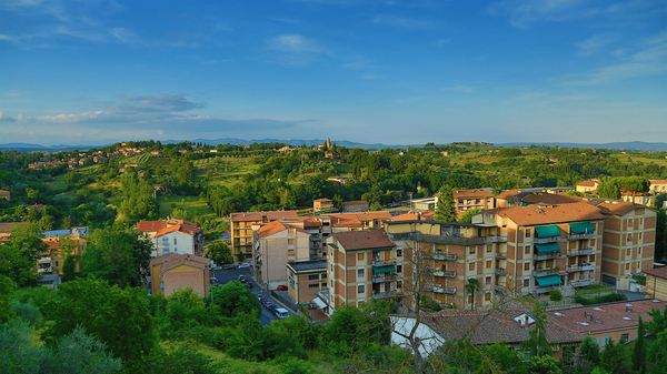 意大利商务签证能考驾照吗,意大利商务签证可以自由行吗