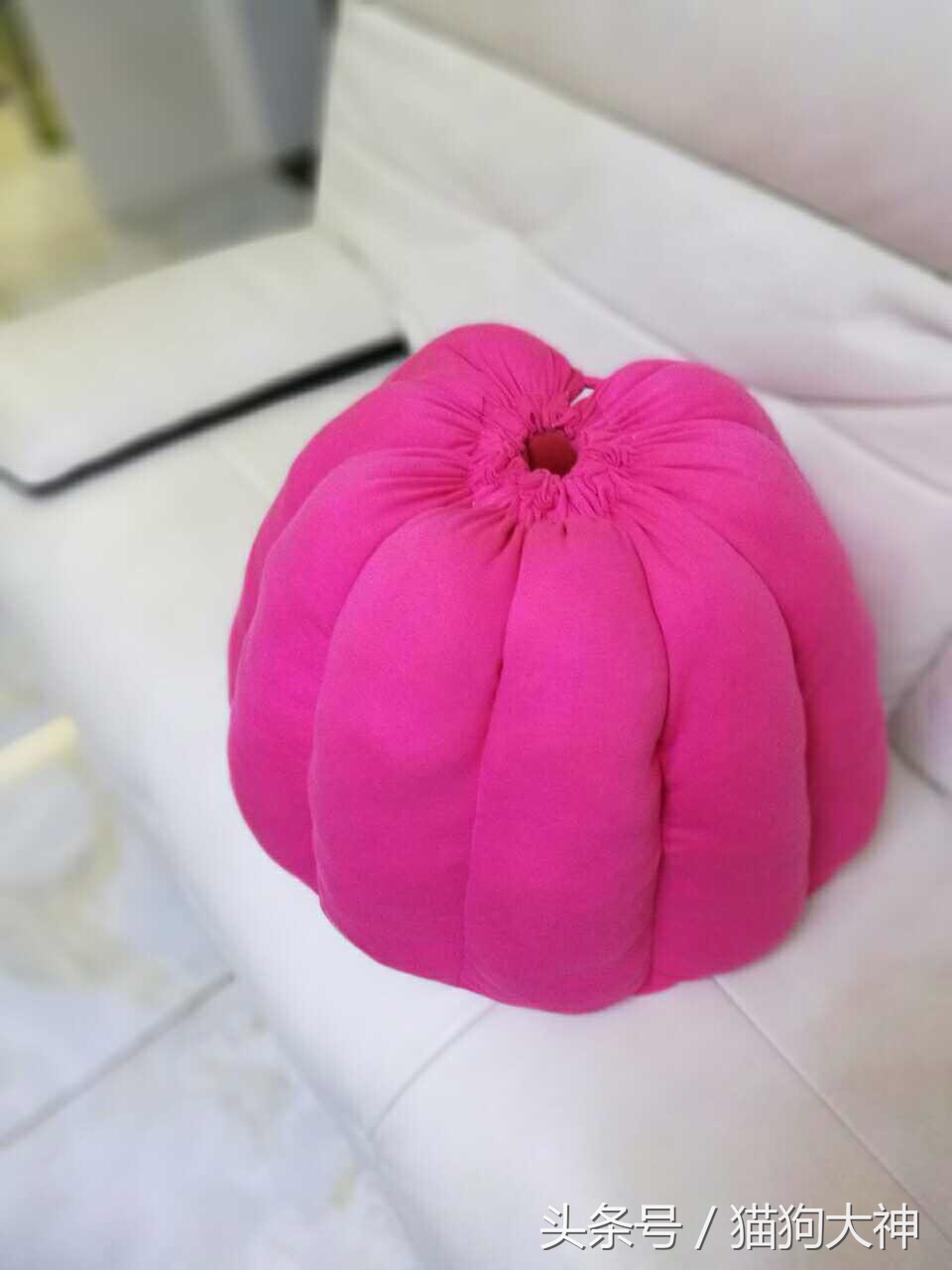 漂亮的狗窝怎么做,漂亮的狗窝