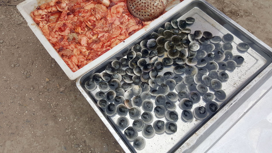 唐山市乐亭县大集,河北唐山乐亭大集