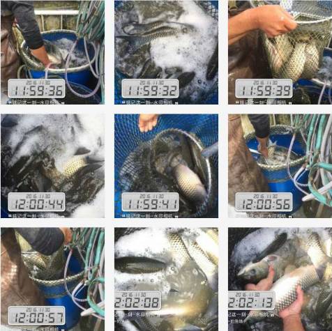 第一次野钓爆护是什么感觉,野钓不可缺少的10大爆护因素