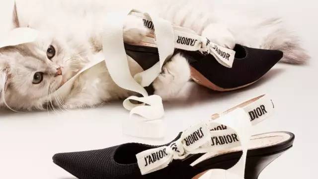 最近火爆了网红鞋,热度高的鞋