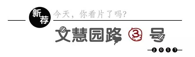 没有保罗·沃克的《速8》,缺憾不在于只少了一个明星