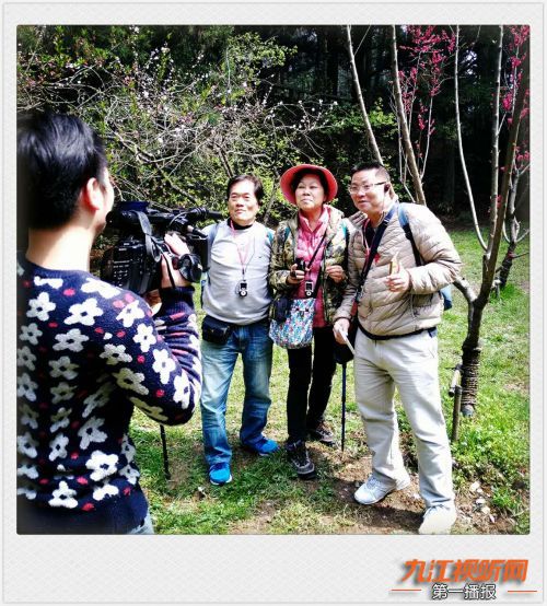 人间四月芳菲尽山寺桃花始盛开,人间四月芳山寺桃花始盛开