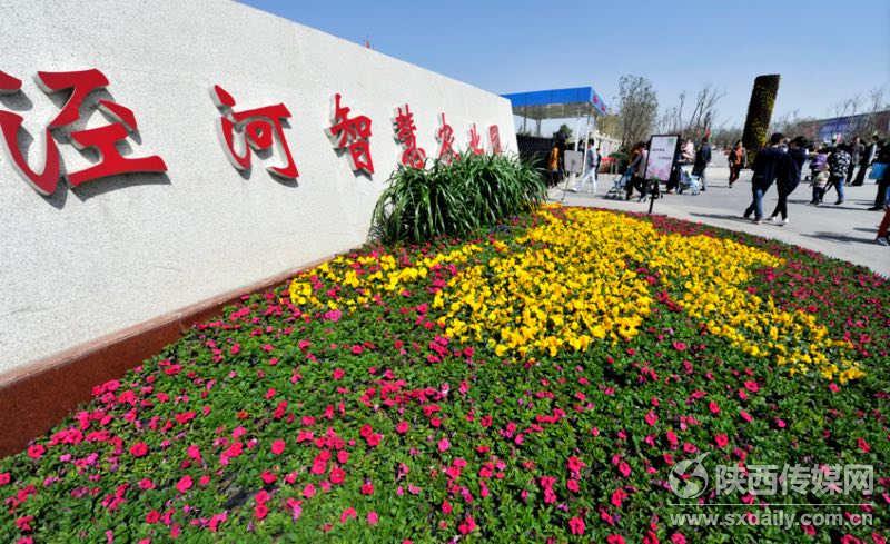 西咸新区泾河新城花展,泾河花博会