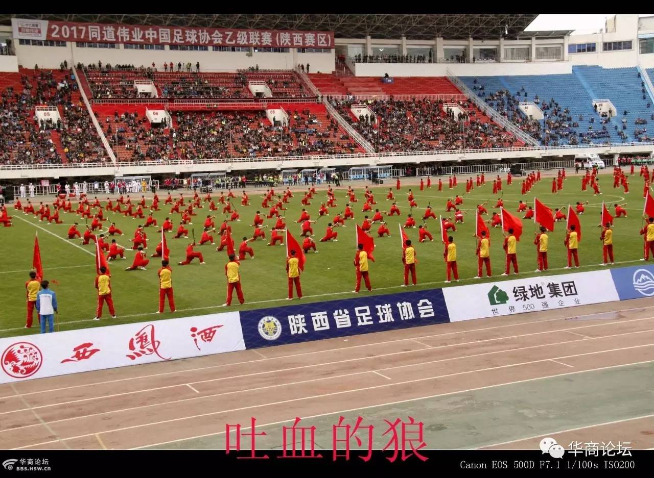 大秦之水队赛程,大秦之水比赛