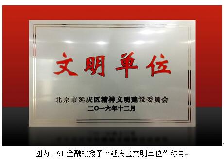 91金融科技有限公司,91金融科技集团简介