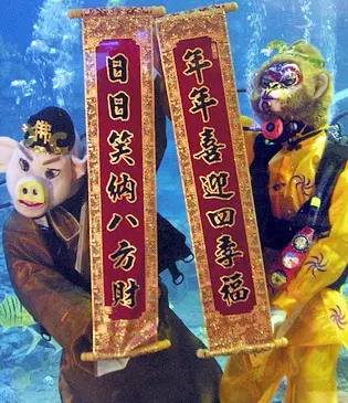 东湖海洋世界和海昌极地海洋公园,武汉东湖海洋世界和极地哪个好玩