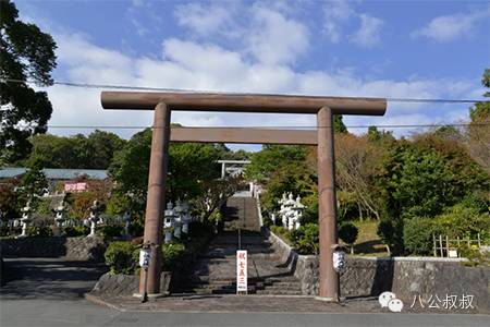 狗狗也犯羊角风吗,狗会犯太岁吗