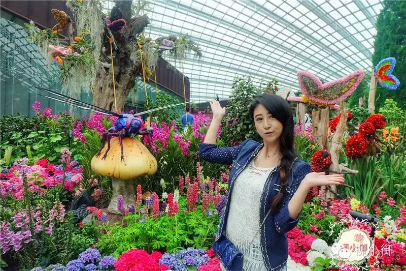 春节旅游新加坡,还能不能春节旅游去新加坡