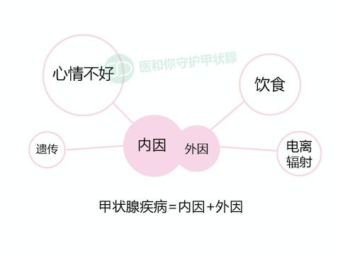 守护甲状腺的科普,保护甲状腺吃什么食物好