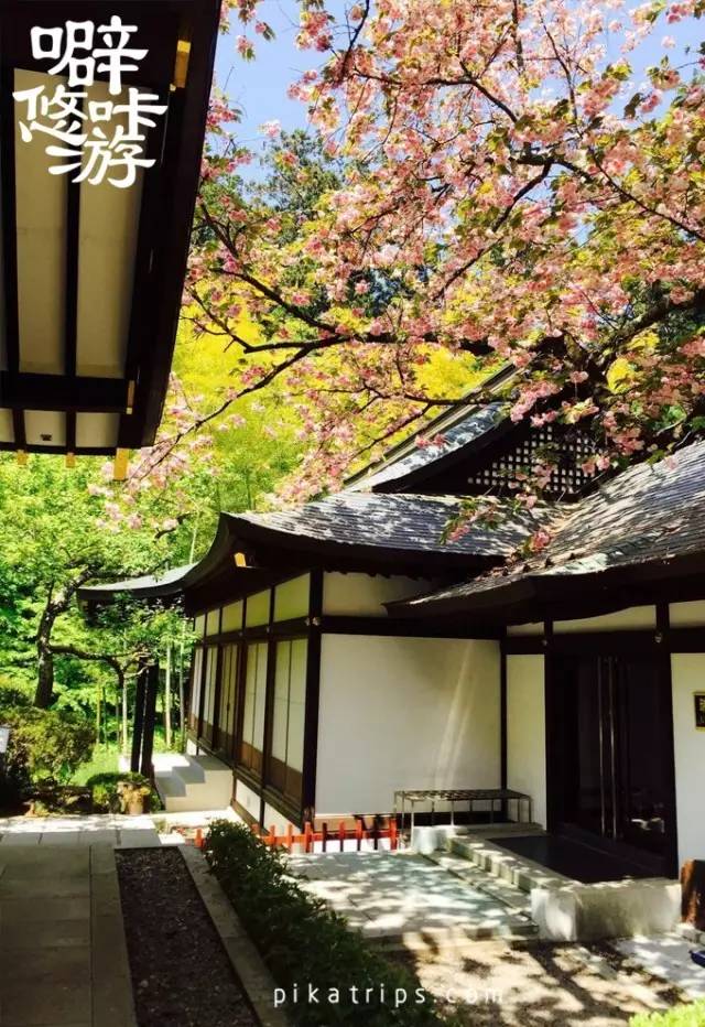 日本攻略｜森林之都，鲁迅先生笔下的日本仙台