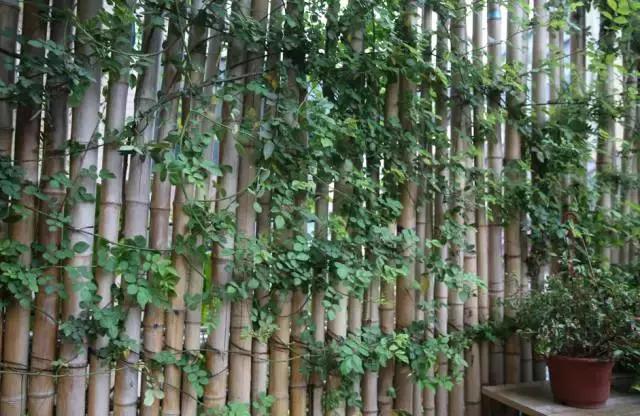 宜昌居然还有这样“见不得人”的花花世界？