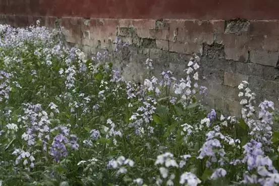 佳能77d和800d拍视频哪款相机好,77d和800d哪个值得入手