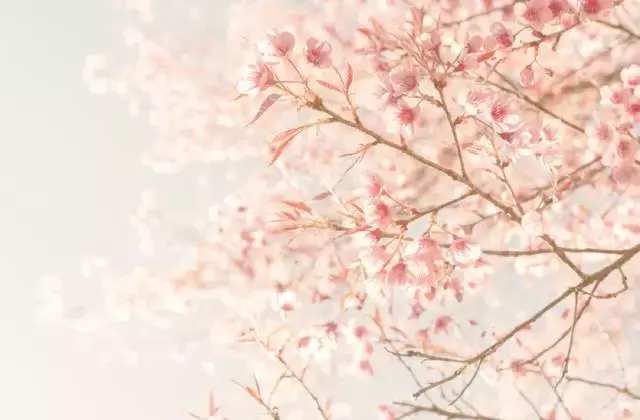 100-300元左右小众石英情侣手表,适合年轻女性佩戴的小众手表