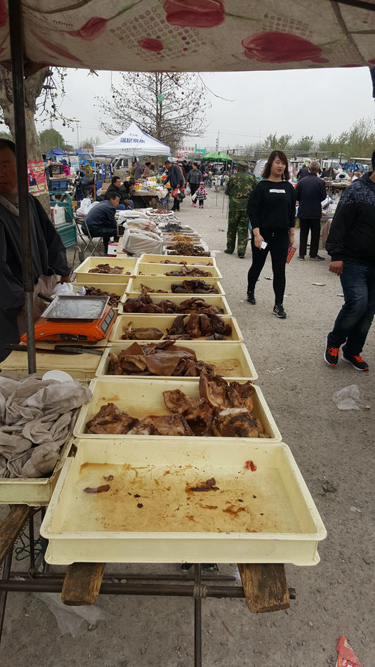 唐山市乐亭县大集,河北唐山乐亭大集