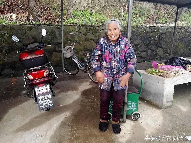 农村老人买野菜,农村卖的野菜