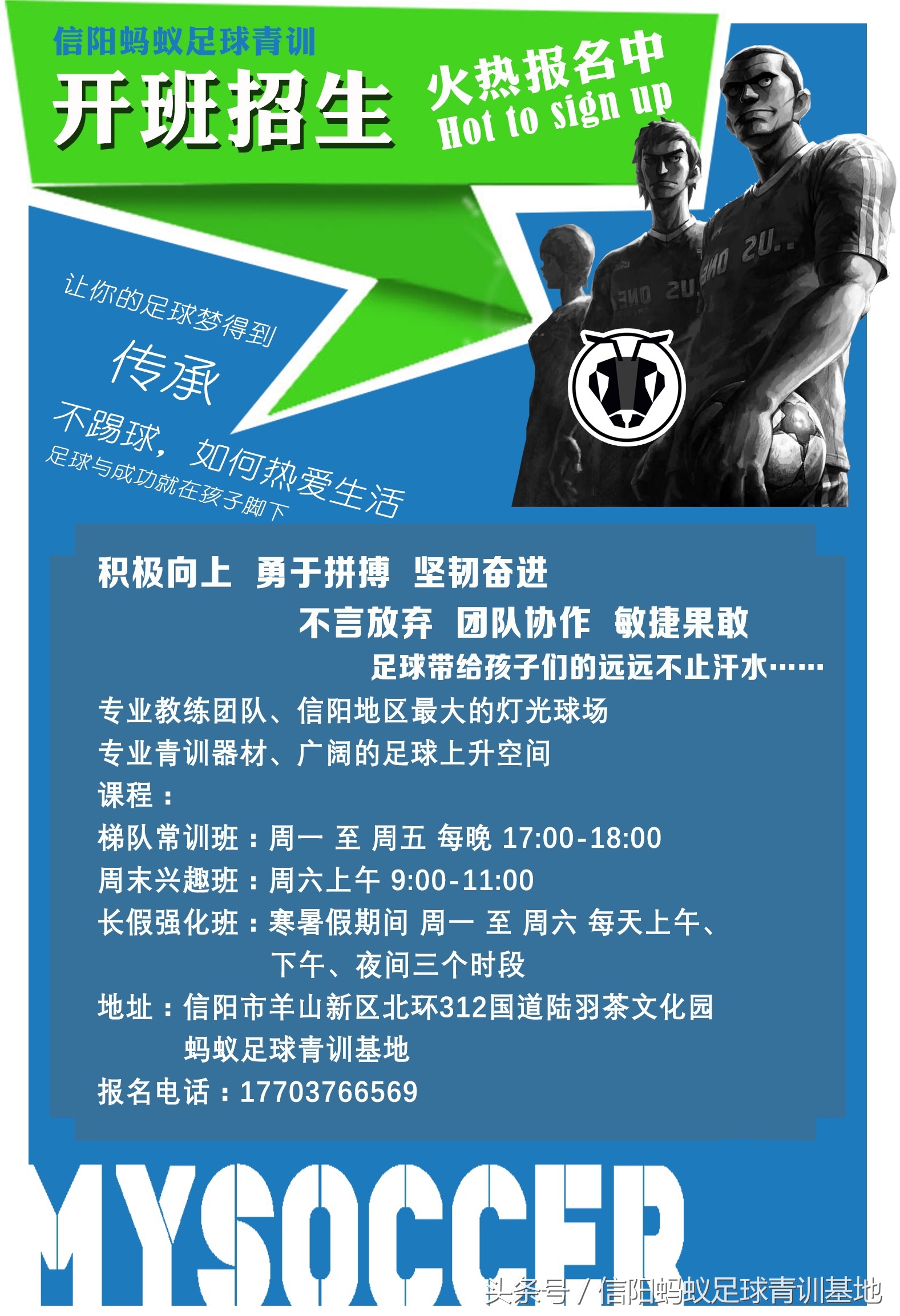 信阳蚂蚁足球联赛视频,蚂蚁足球青训教学视频