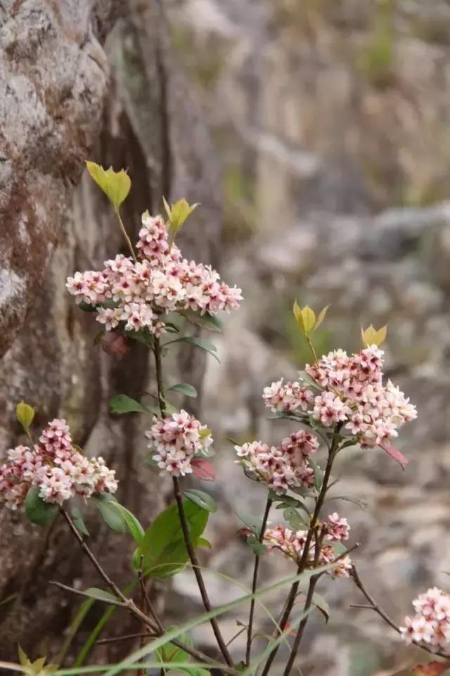驴游记照片,驴游记全部视频