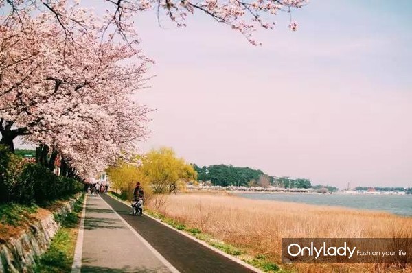 韩国免税店化妆品购物攻略,韩国免税店购物攻略