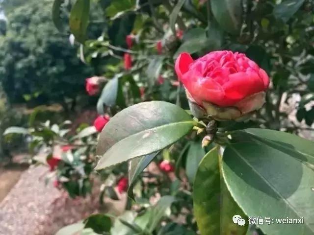 安溪最好看的风景,安溪哪个风景好