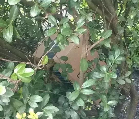 美国快递到底有多暴利,美国快递反映了美国人的什么