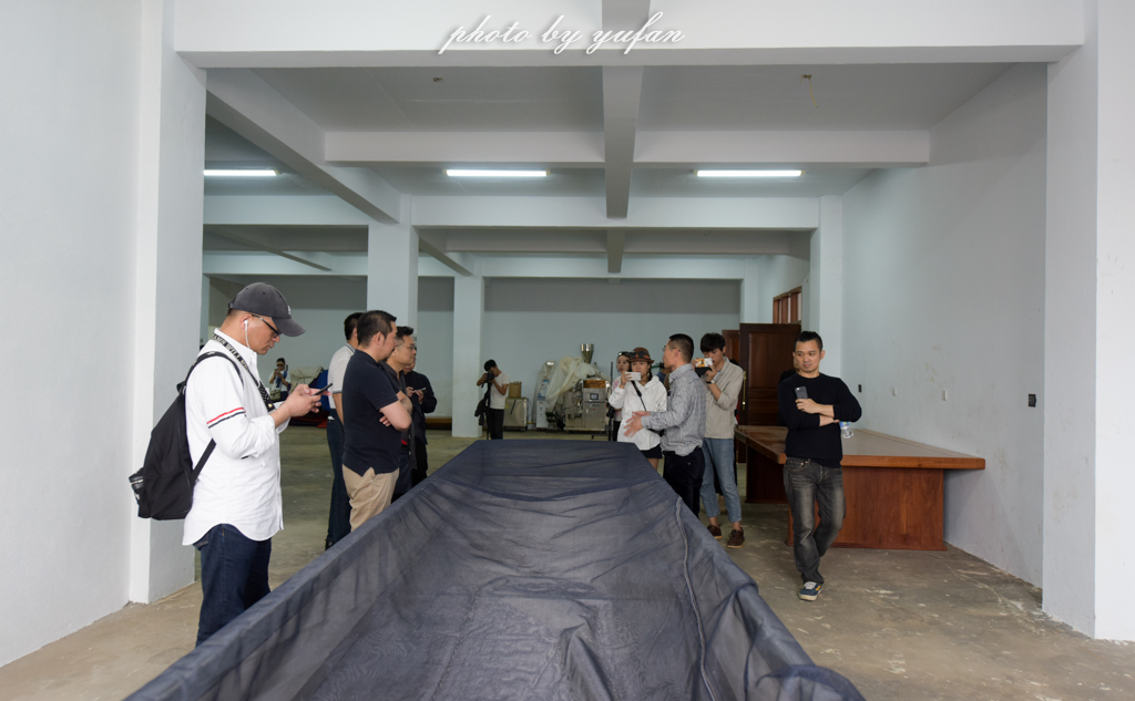 云端上的世外桃源，看看浇灌牛奶和土鸡蛋的有机乌龙茶长成啥样