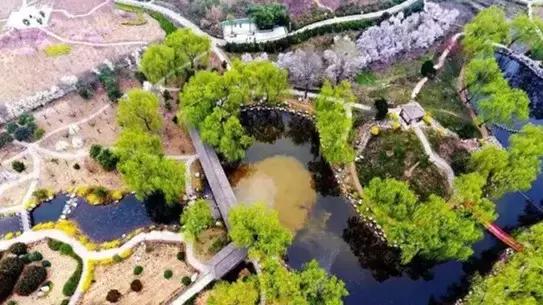 花木博览园一日游,春季游玩博览会