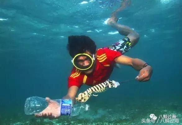 比手臂还粗的皮皮虾你吃过了吗,比手臂还大的皮皮虾吃起来超过瘾