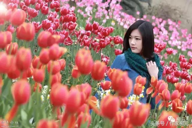 银川花博园郁金香花海,银川花博园游览图