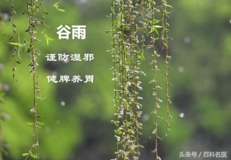 谷雨后吃什么补得快,谷雨节气吃什么补脾胃