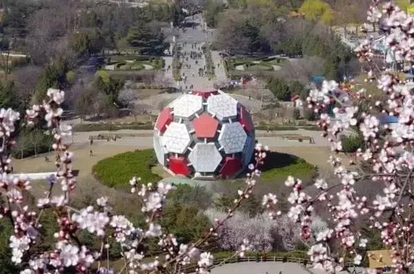 大连劳动公园的大足球有什么奥秘,劳动公园大足球在哪个门