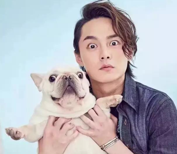 斗牛犬为啥那么丑,为什么斗牛犬那么贵