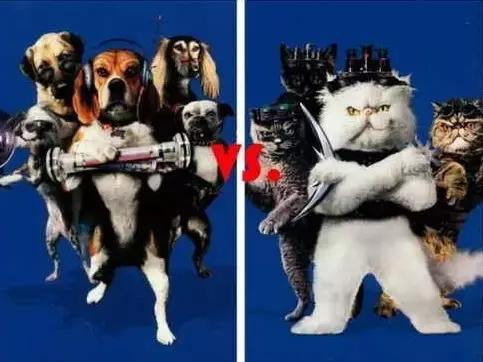 带你家狗狗一起看的电影,带宠物一起去看电影吧