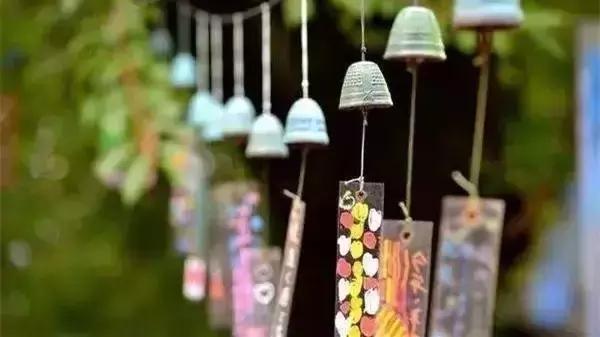 花木博览园一日游,春季游玩博览会