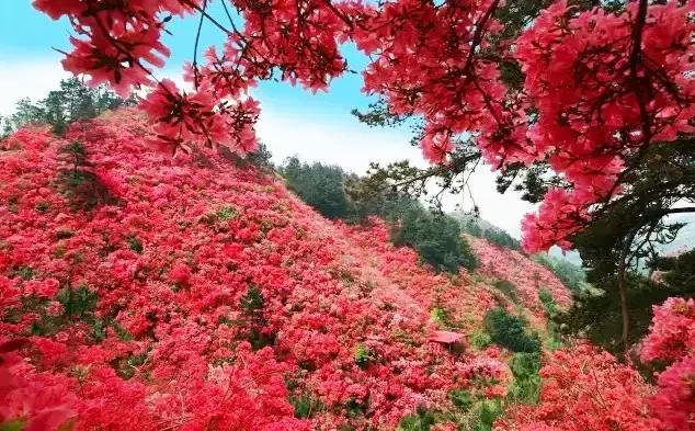 武汉五一去哪儿玩人少,五一去哪里玩武汉人少