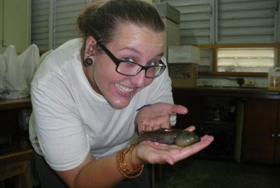 蝌蚪为什么那么慢变青蛙,你知道蝌蚪是怎么变成青蛙的吗