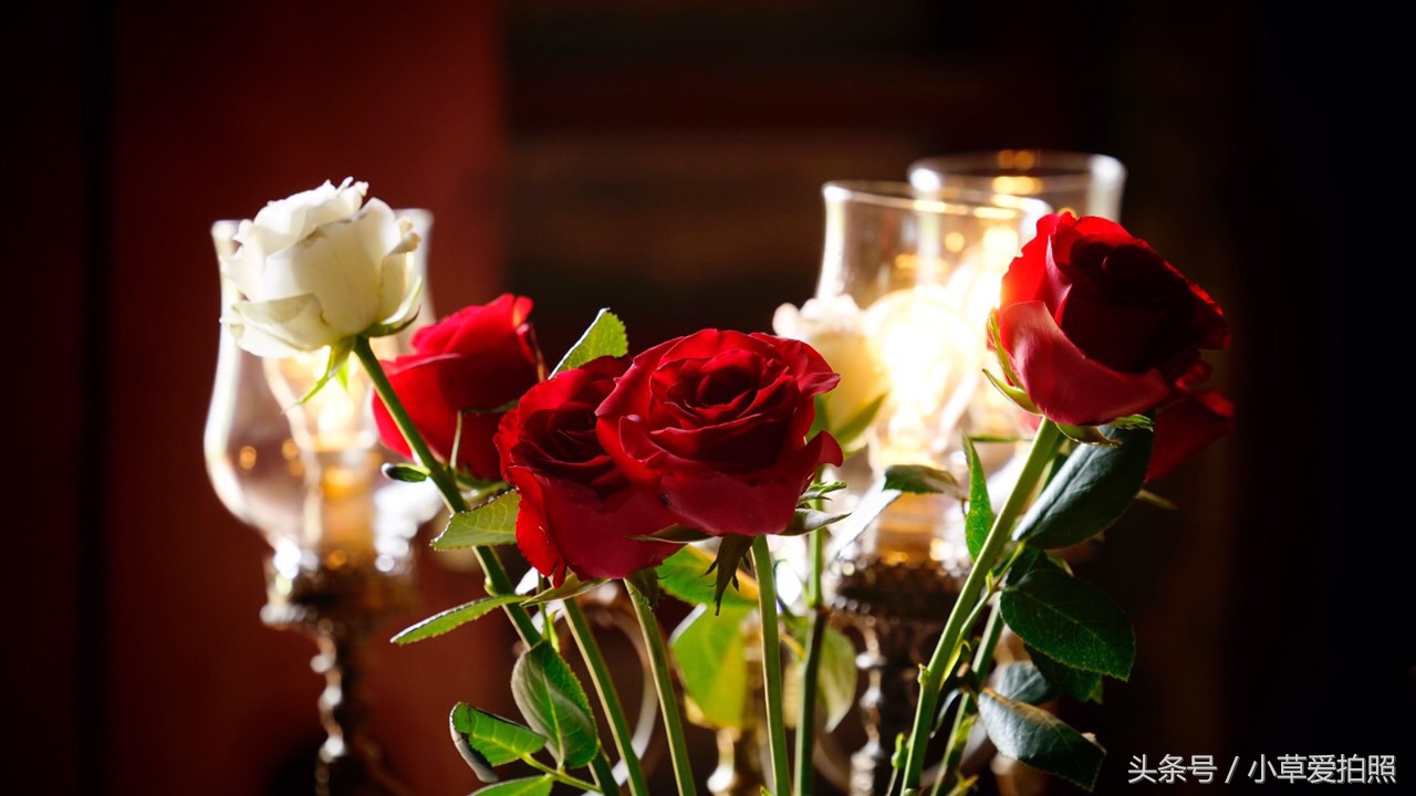 中山三乡镇美溪村,中山景点三溪村