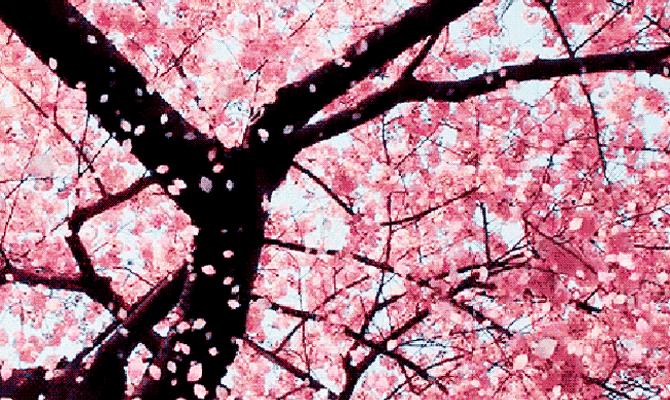 日立美容仪有用吗,日立美容仪好吗