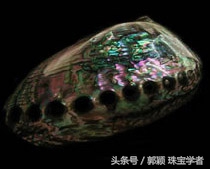 鲍鱼除了吃还代表什么,鲍鱼除了是食物还是什么东西