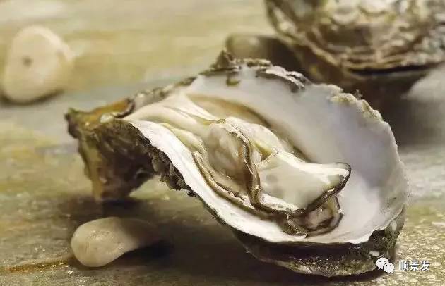 十种常见贝类海鲜图片,贝类海鲜全图