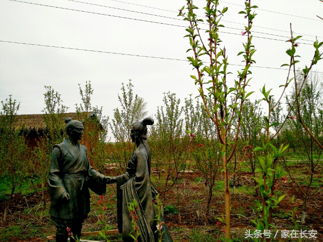 西安城南,樊川胜景人面桃花园,2017年4月29日隆重开园!