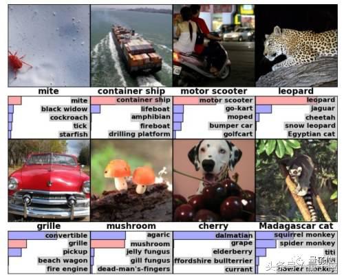 怎么使用imagenet迁移学习,用keras实现图像的分类