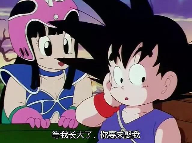 龙珠中的布尔玛和琪琪的融合,七龙珠琪琪做饭给布尔玛