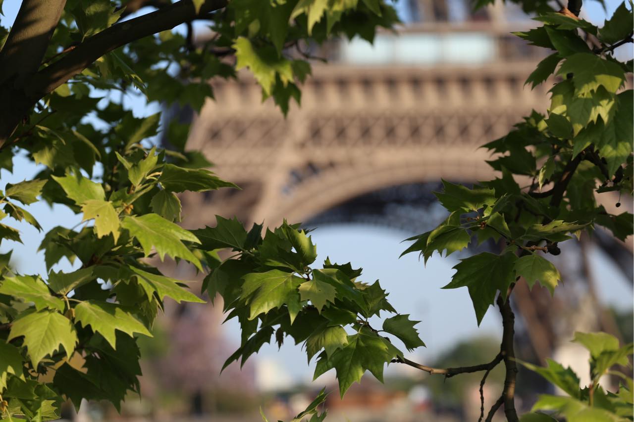 七十迈环法国自驾游最终站——漫步巴黎